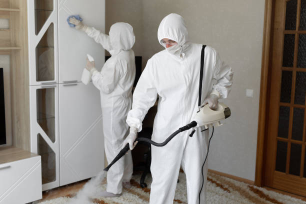 24/7 Emergency Odor Removal experts in Gloucester City, NJ